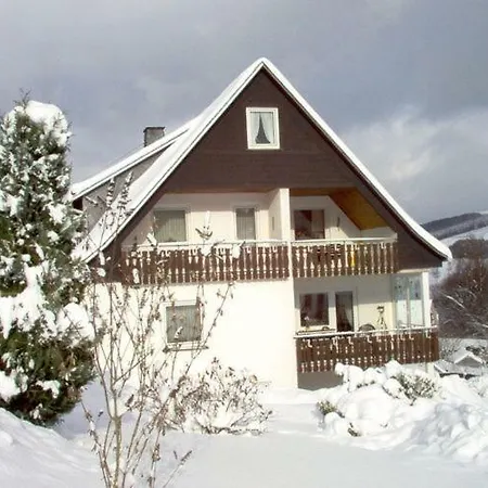 Luxury In Sellinghausen Sauerland With Garden Daire